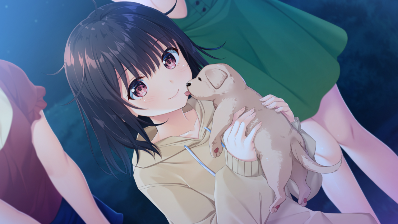 GalGame 无法忍耐的处男哥哥和不直率的叛逆妹妹 全CG 云翻汉化 PC版插图1 无法忍耐的处男哥哥和不直率的叛逆妹妹-1